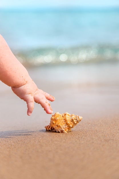 Foto la mano di un bambino che prende una conchiglia in riva al mare