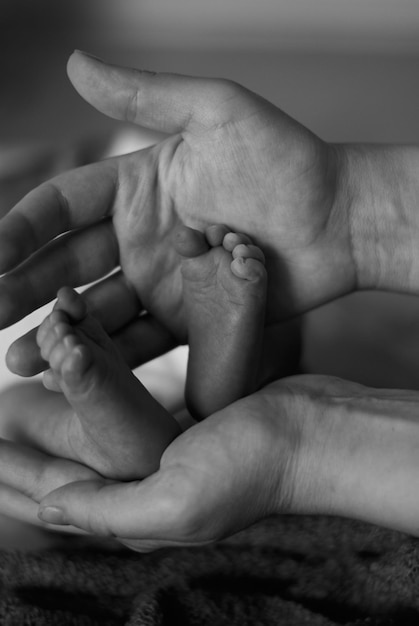 the baby's legs newborn's feet