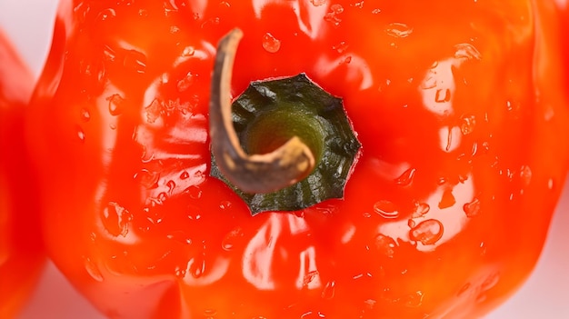 Baby scotch bonnet pepper closeup