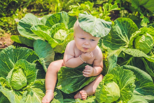 A baby sitting among the cabbage. Children are found in cabbage