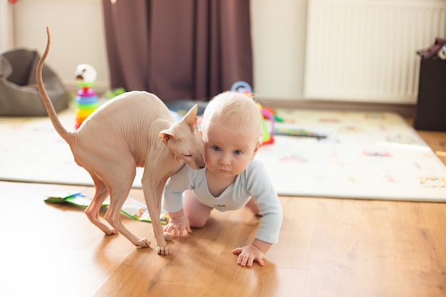 写真 6か月の赤ちゃんが床と彼の隣で低刺激性の猫のスフィンクを這う