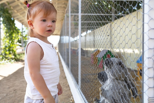 The baby stands near the cage with domestic rabbits and is going to feed them.