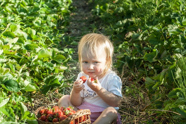 Baby on strawberry field