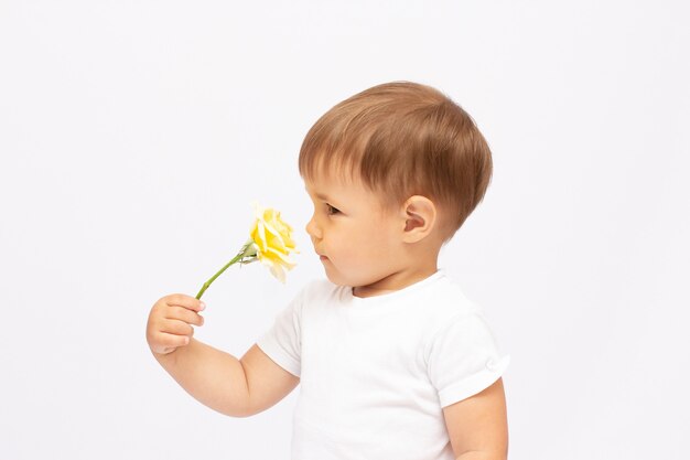 baby toddler boy holding one yellow rose smiling on white surface