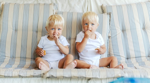 Baby twins on the couch eating cookies. Cute babies in white baby body hold a cake in their hand on the stripe sofa. Light hair, blue eyes, toddler babies, peaceful childhood