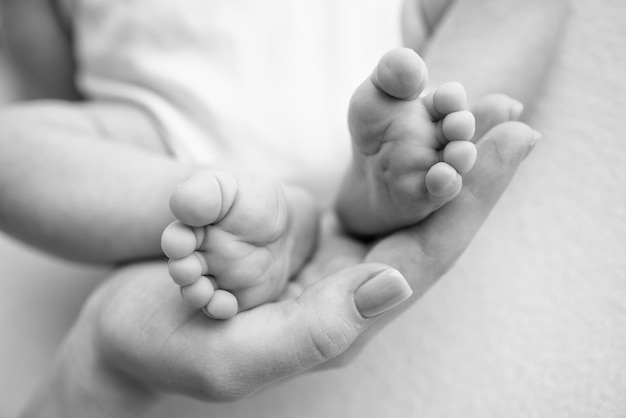 Baby voeten in de handen van moeder vader oudere broer of zus familie Voeten van een kleine pasgeborene close-up Kleine children39s voeten omringd door de palmen van de familie Zwart-wit