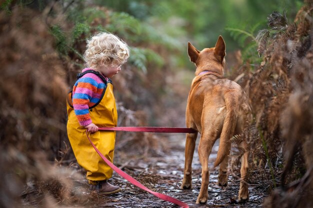 baby waling a dog on a lead in the wild forest together walking in a park in australia in spring