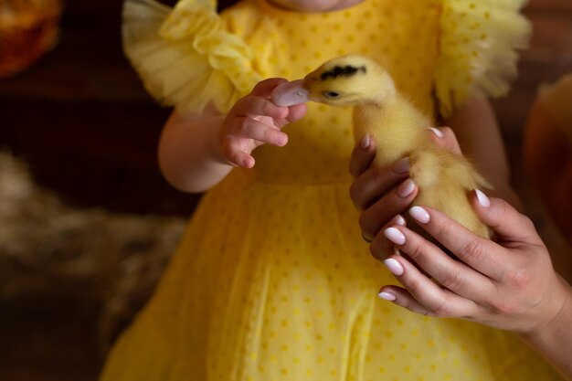 A baby in a yellow dress holds a duckling.