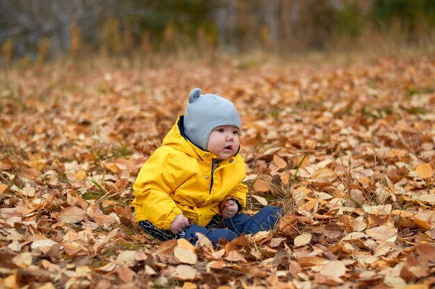 Baby in yellow foliage in autumn park