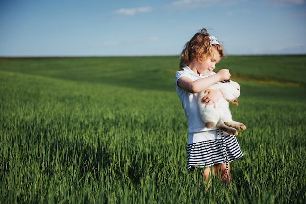 Babykonijn op een gebied van groene tarwe