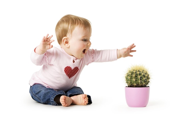 Babymeisje van 9 maanden reikt naar een cactus Geen verscherpende beweging b