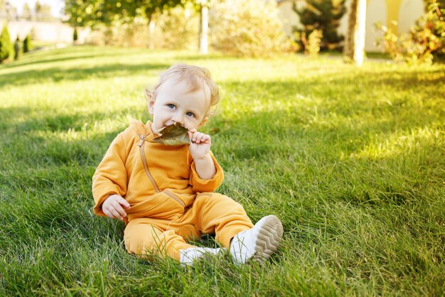 Babysitting op het gazon met herfstbladeren