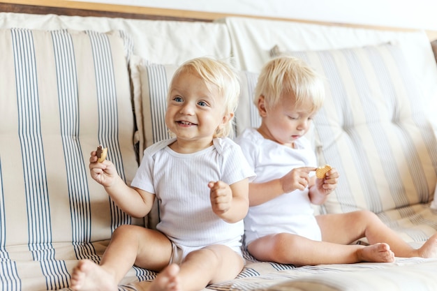 Babytweeling die koekjes eet. Twee gelukkige peuters in een wit babylichaam met een cake in hun hand op de bank. Het ene kind lacht terwijl het andere geïntrigeerd naar het koekje kijkt. Blond haar blauwe ogen