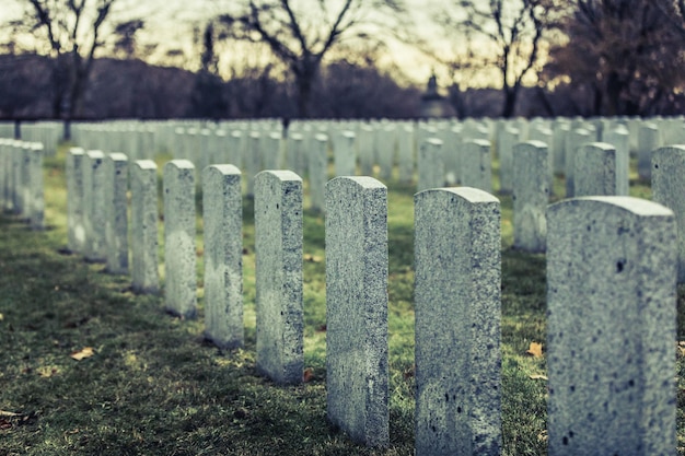 Back of Army Headstone and Graveyard Cemetery during a Sad Day of Autumn