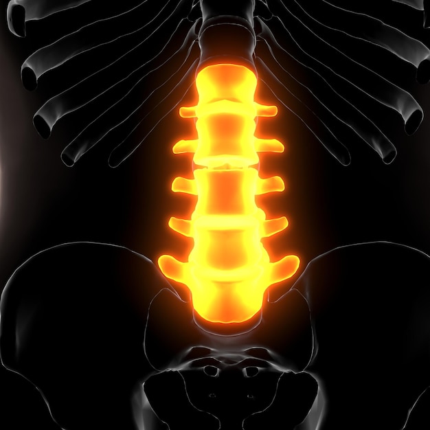 Photo a back and back of a back pain with a back pain in the back