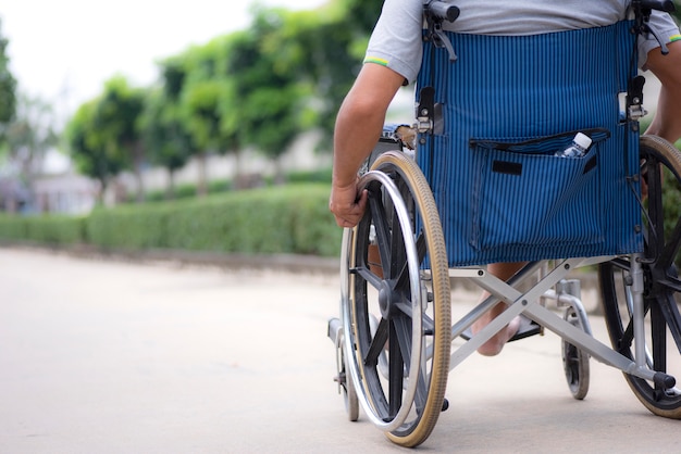 back image of the elderly wheelchair during a walk in the park