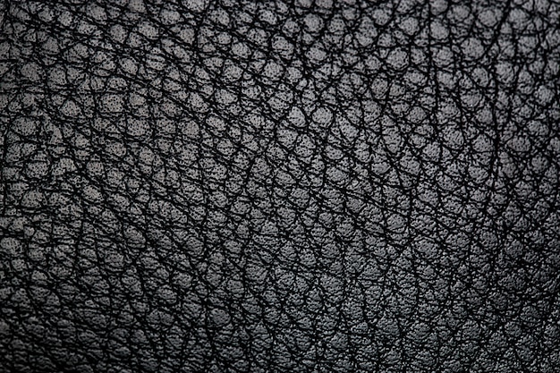 Back leather texture