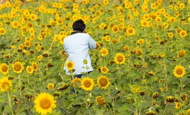 男性の写真家の後ろにあるヒマワリの花。