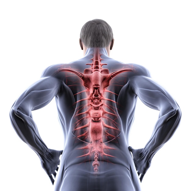 Photo back pain physical therapy for spinal injury