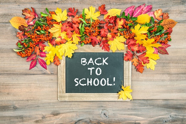 Back to school Autumn background with colorful leaves Wooden texture