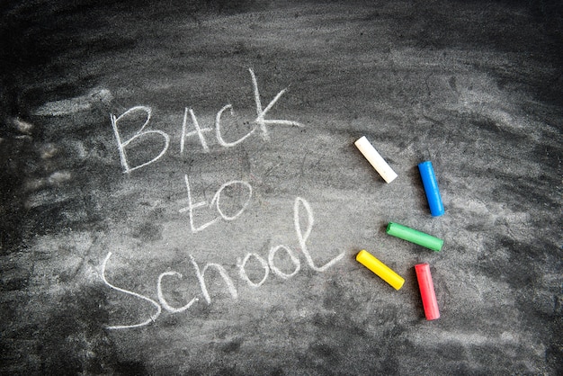 Back to school concept. Book and astra flowers on black board. 1 of September day.