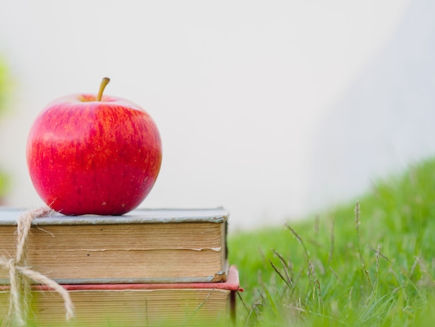 Torna al concetto di scuola. la mela e la penna rosse hanno messo sopra la pila di vecchi libri