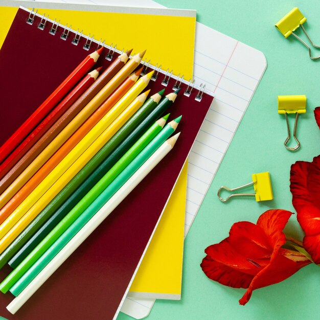 Back to school flat lay. Various stationery with flowers on a mint table