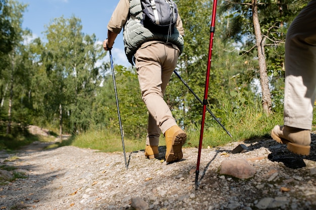 Back view of active man with trekking sticks moving down forest road with pines and blue sky on background