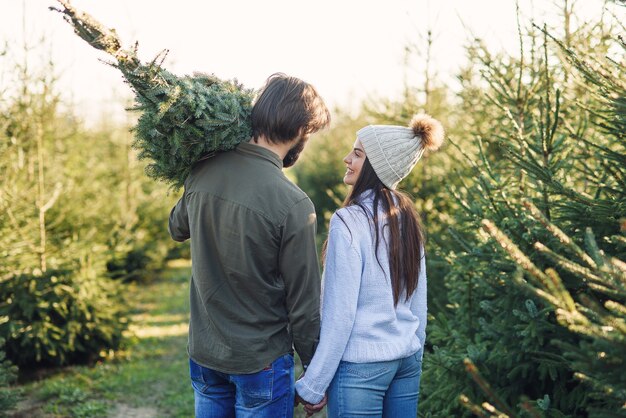 Back view of a beautiful young couple carrying a beautiful Christmas tree to their car among the fir tree plantations.