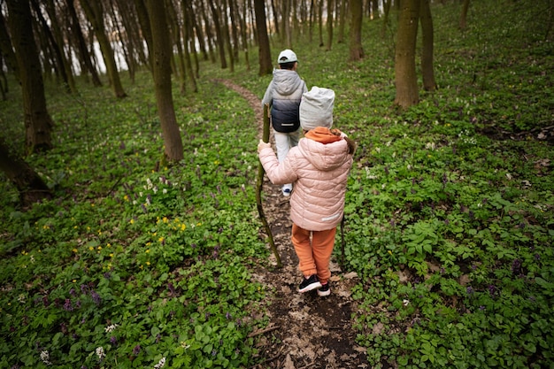 Back view of brother and sister kids walking on forest trail Outdoor spring leisure concept