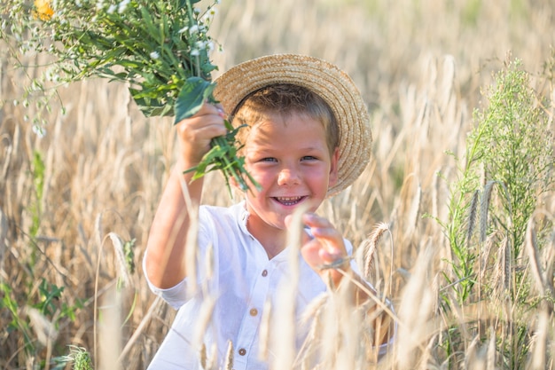 Back view on cute kid boy in straw hat with daisies in hands walking on rye field