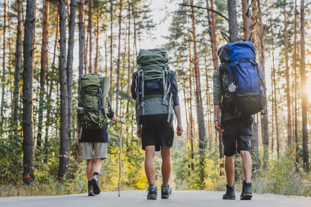 Back view of friends traveling in forest in sunny day with\
backpacks camping outdoor