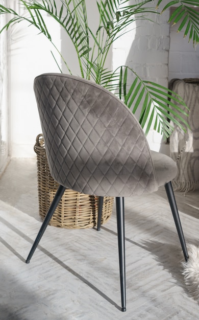 Photo back view of gray modern velvet chair and indoor plants