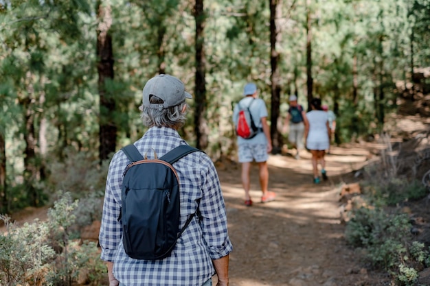 自然の中で自由な時間と自由を楽しんでいる山のハイキングの道を歩いている年配の白人の人々 のグループの背面図と健康的なライフ スタイルのコンセプト