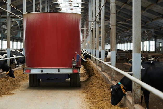 Back view of industrial machine moving along aisle between cowsheds