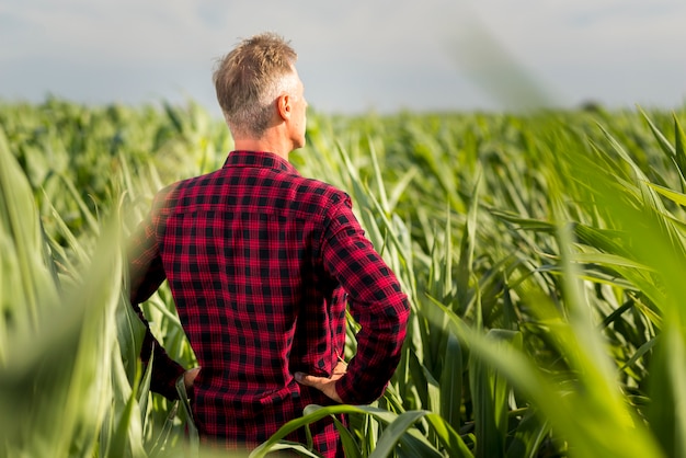 Photo back view man looking away in a field