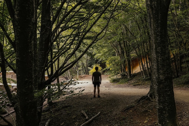 Back view of a man in the middle of a lush forest while looking away