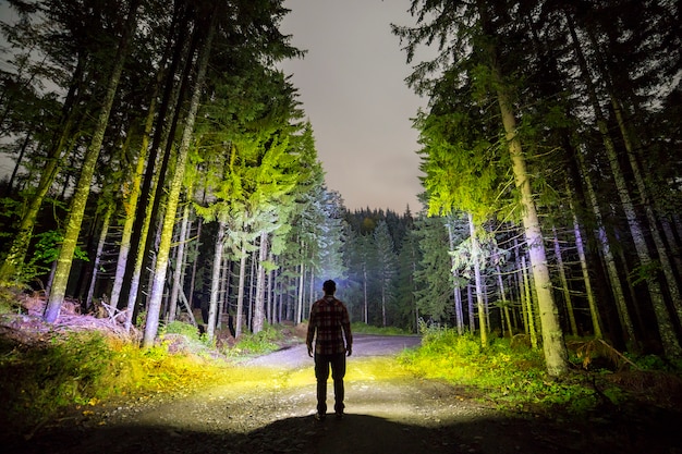 Punto di vista posteriore dell'uomo con la torcia elettrica della testa che sta sulla strada a terra forestale fra gli abeti rossi brillantemente illuminati alti sotto il bello cielo blu scuro. paesaggio notturno di legno e avventura.