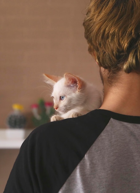 Back view of man with kitten on his shoulder