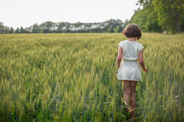 写真 小麦畑に立っているストライプドレスを着た短 ⁇ の女の子のバックビュー