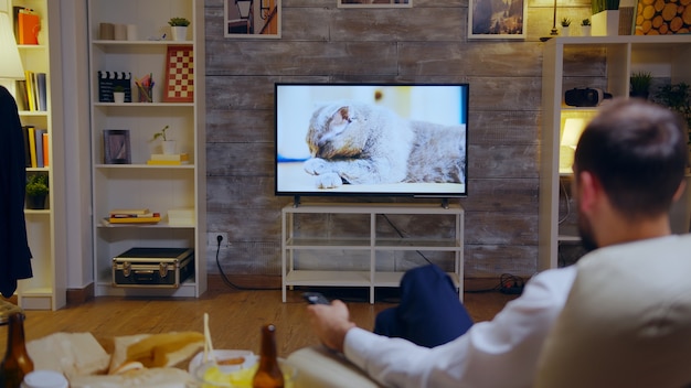 テレビで猫についてのドキュメンタリーを見ている過労起業家の背面図。
