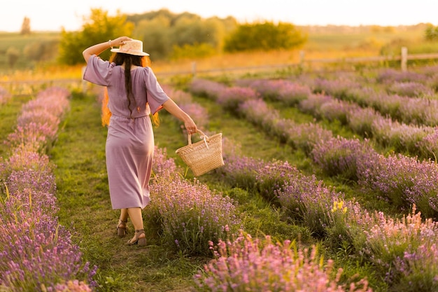 Back view portrait of stylish brunette female in a straw hat walking outdoors at the lavender field