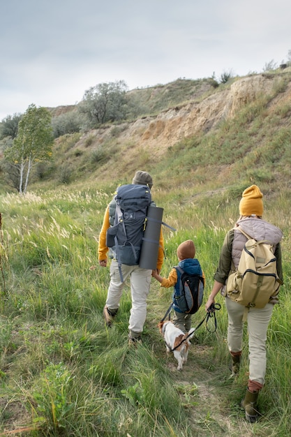 Back view of three backpackers in warm casualwear and their pet moving down footpath while enjoying weekend trip in natural environment