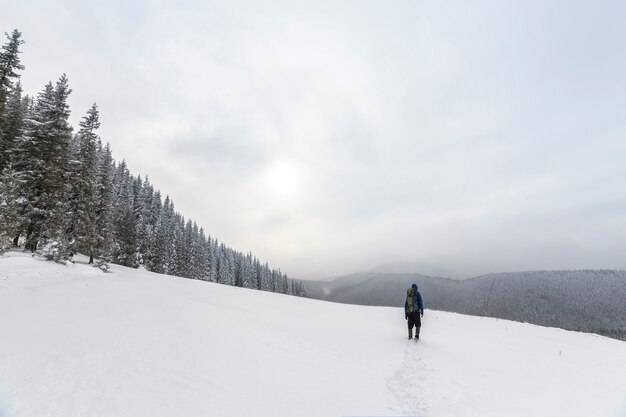 トウヒの森と曇り空のコピースペースの背景に雪で覆われた山を上向きに歩くバックパックと暖かい服を着た観光ハイカーの背面図。
