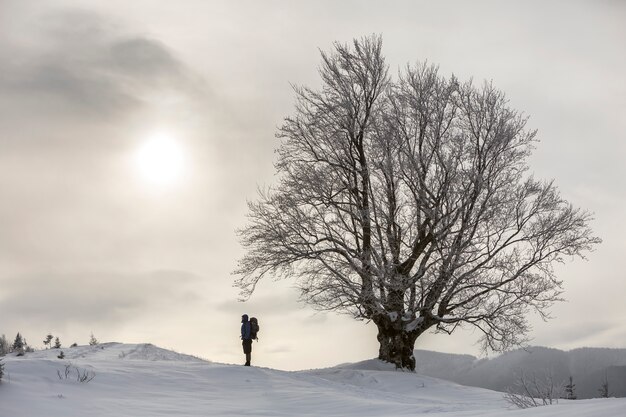 Back view of tourist hiker with backpack standing in white clean deep snow