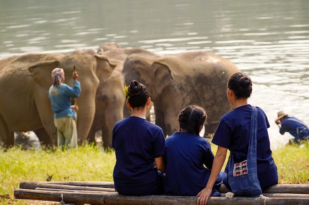 Back view of traveler039s family looking at herd of Asian elephants bathing in the national park