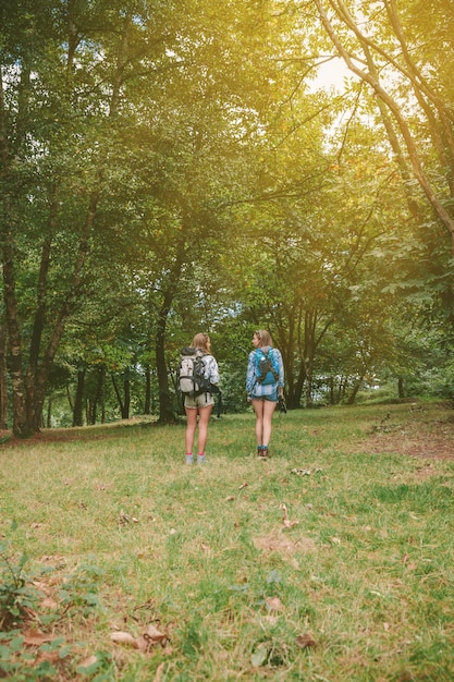 숲 속으로 서 있는 배낭을 메고 있는 두 여자 친구의 뒷모습
