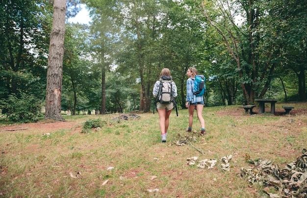 Back view of two women friends with backpacks walking into the forest