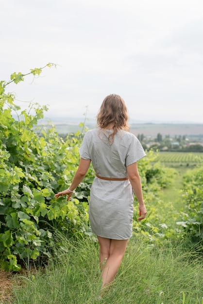 Back view of a woman in summer dress walking through the vineyard