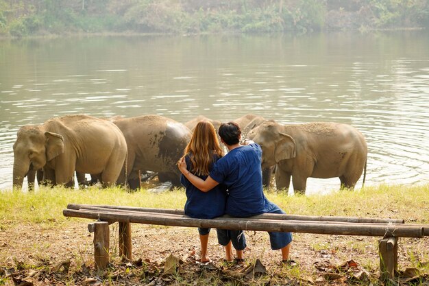 Back view of young couple looking at herd of Asian elephants bathing in the national park's river